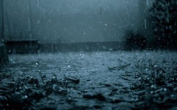 雨来作文200字精选8篇