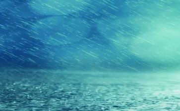 雨作文高中800字最新8篇