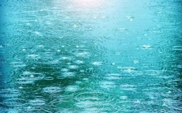 雨作文高中800字优秀8篇