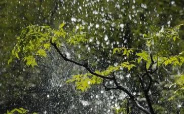 四月的风四月的雨作文5篇