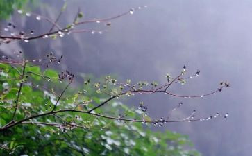 小班语言《雨》教案最新5篇
