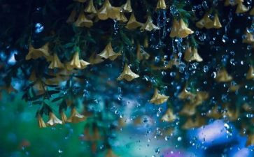 秋天的雨300字作文四年级作文7篇