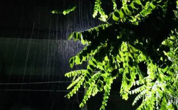雨的作文高中300字优秀6篇