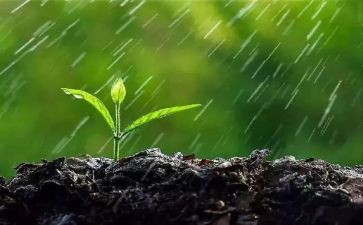 雨来作文600字精选6篇
