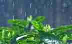 秋天的雨教学反思优质6篇