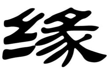 海洋奇缘观后感600字8篇