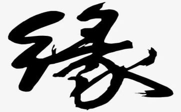我与茶的不解之缘作文8篇