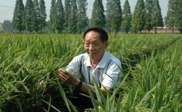 袁隆平的优秀作文最新5篇