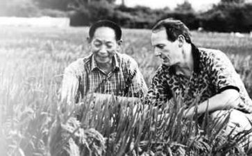 袁隆平的优秀作文6篇