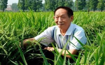 《袁隆平的故事》作文7篇