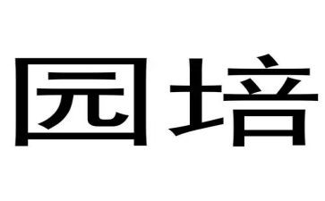 2024幼儿园培训计划6篇