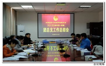 院团委的工作计划7篇