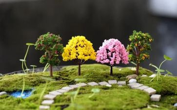 幼儿园艺术树教案优秀6篇