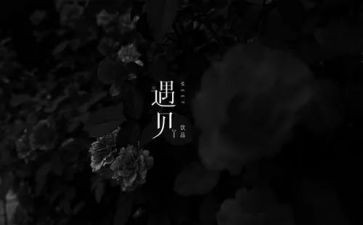 《我的遇见》作文7篇
