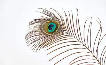 羽毛球社心得体会优质6篇