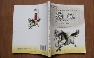 部编六上语文教学工作总结参考5篇