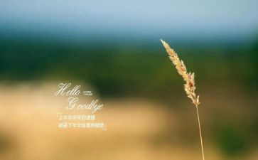再见的作文最新6篇