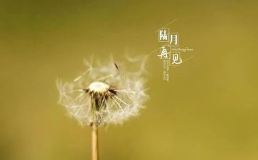 关于再见作文8篇