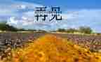 再见的作文参考8篇