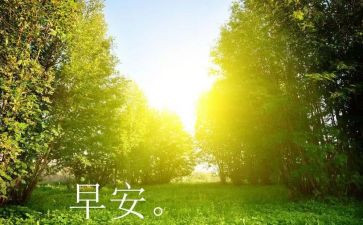 含羞早作文5篇