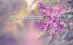 早教班活动方案6篇