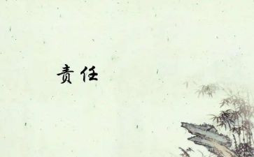 主体责任工作报告5篇
