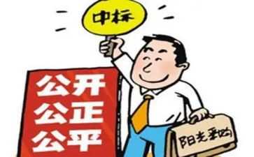 招标师工作总结6篇