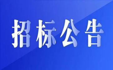 招标办述职报告8篇