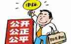 招标师工作总结6篇