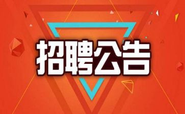 招聘的工作总结模板6篇