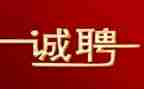 招聘类工作总结范文8篇