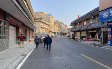 镇党委工作计划6篇