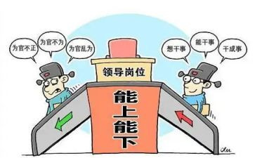 乡镇副镇长述职述廉报告8篇
