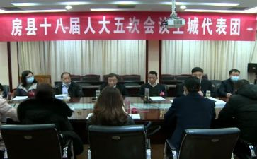 镇代表的心得体会通用5篇