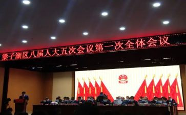 镇代表的心得体会优秀6篇