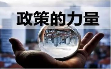 双减政策下教师的心得体会精选5篇