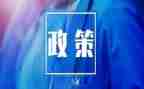 型势与政策心得体会7篇