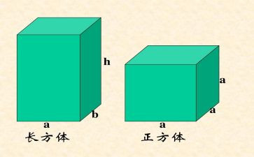 正方体的认识教案6篇