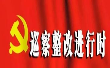 2024巡视整改专题生活会个人对照材料参考5篇