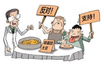 争论的作文800字作文6篇