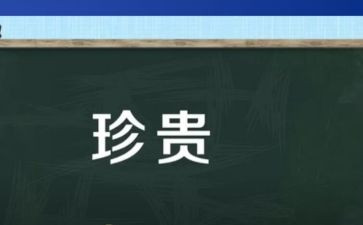 作文友情最珍贵600字6篇
