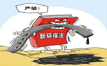 环境整治工作报告优质6篇