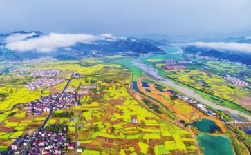 镇乡村振兴工作报告通用5篇
