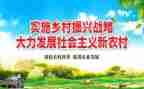 振兴工作总结优质5篇