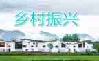 乡村振兴的个人心得体会8篇