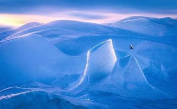 水的智慧的心得体会通用8篇