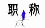 聘职称个人总结优质8篇