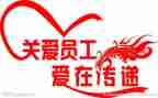 职工的个人总结精选6篇