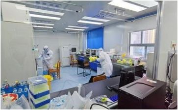 2024质量月演讲稿通用5篇