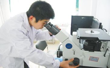质量与安全工作计划6篇